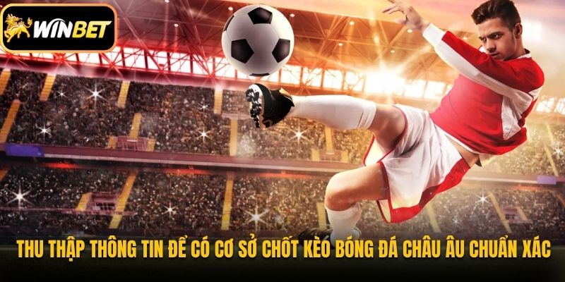 Thu thập thông tin để có cơ sở chốt kèo bóng đá châu Âu chuẩn xác