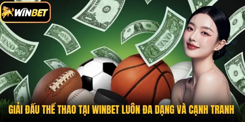 Giải đấu thể thao tại Winbet luôn đa dạng và cạnh tranh 