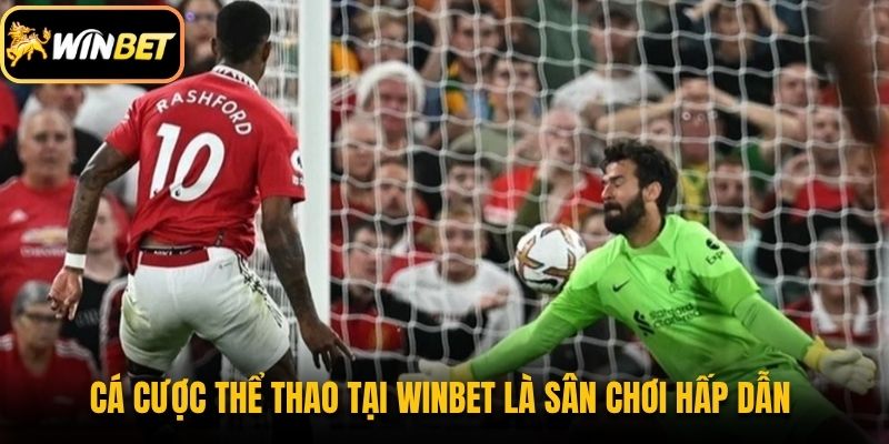 Cá cược thể thao tại Winbet là sân chơi hấp dẫn 